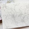 Watercolor Notecard Set - Favorites From Kristy's Books