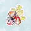 Watercolor Stickers - Critters/Fruits/Mushrooms