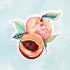 Watercolor Stickers - Critters/Fruits/Mushrooms