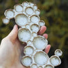 Ceramic Bubble Palette by BeautifulSwirls