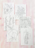 *Spring* WATERcoloring Notecard Set