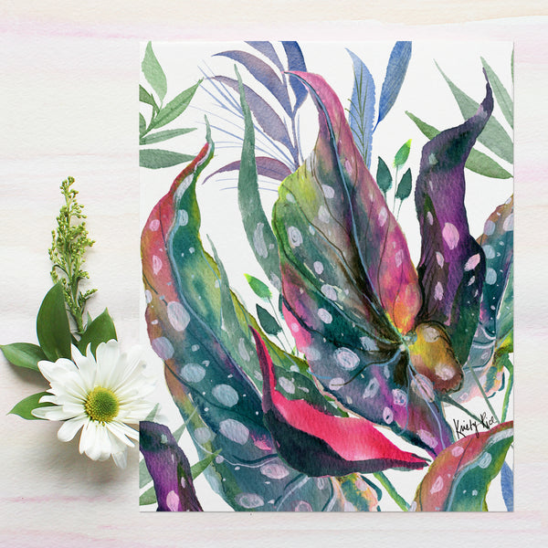 Fine Art Giclee Print - Begonia