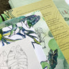 Postcards in Watercolorland - July Mailing