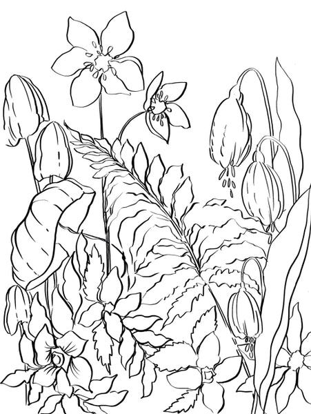 Watercoloring Page Set - The Forest Floor Pattern